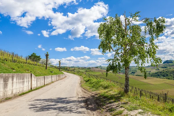 Camino rural bajo el cielo azul en Italia . — Foto de Stock