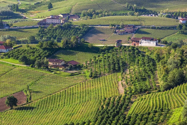 Casas rurais entre colinas verdes e vinhas do Piemonte, Northe — Fotografia de Stock