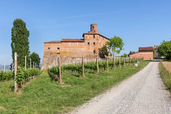 Vinmarker og gamle slot i Italien . - Stock-foto