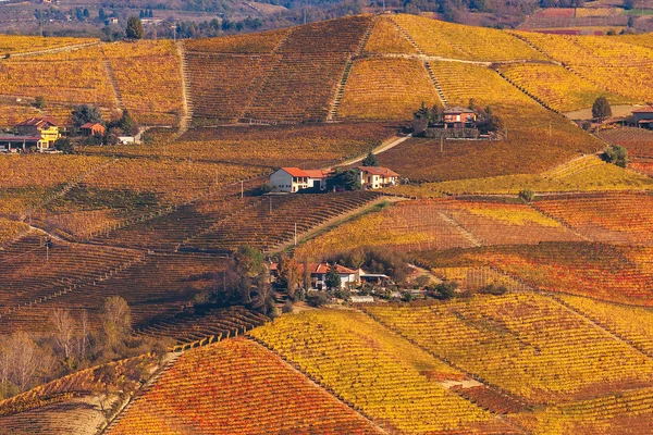 Kopců a vinic Piemont podzim. — Stock fotografie