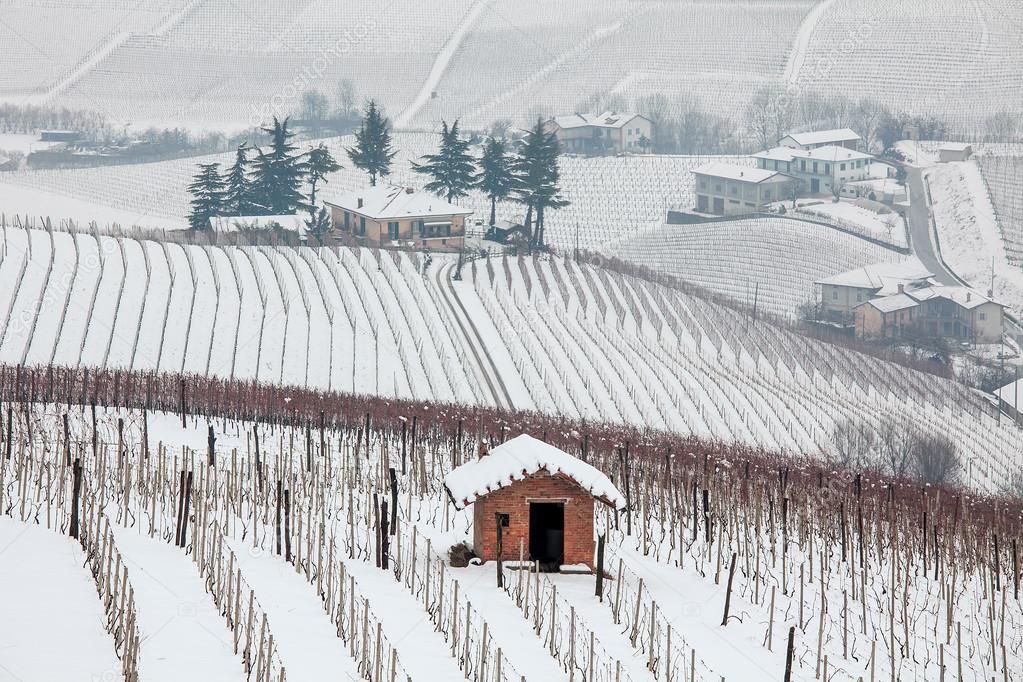 Snowy hills of Piedmont, Italy.