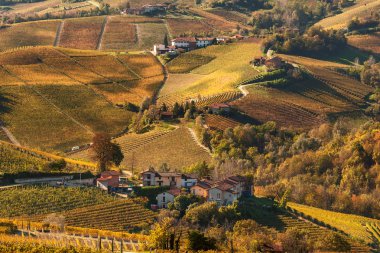 Piedmont renkli sonbahar bağlar.