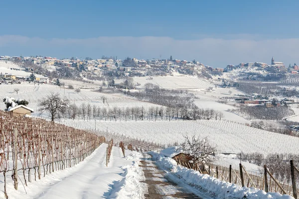 Wzgórza i winnice pod śniegiem. — Zdjęcie stockowe