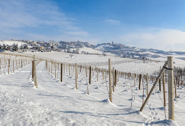 Wintry vineyards of Piedmont, Italy. — Stock Photo, Image