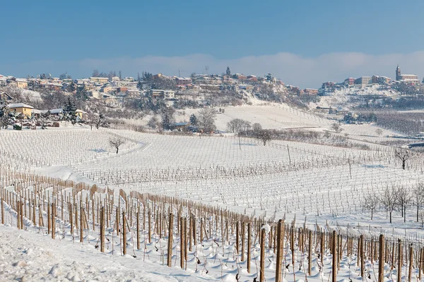 Vineyards covered with snow in Italy. — Stock Photo, Image