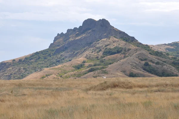 Sakin dağ manzarası