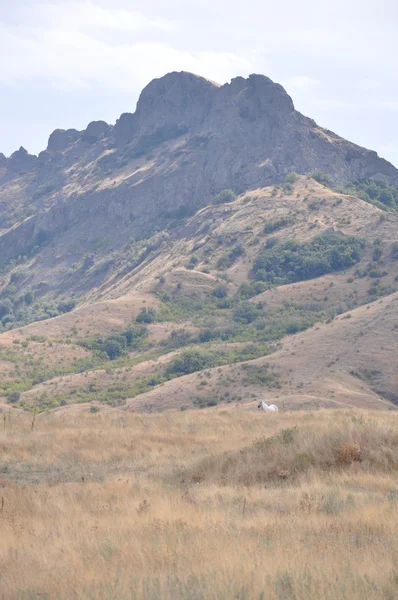 Sakin dağ manzarası