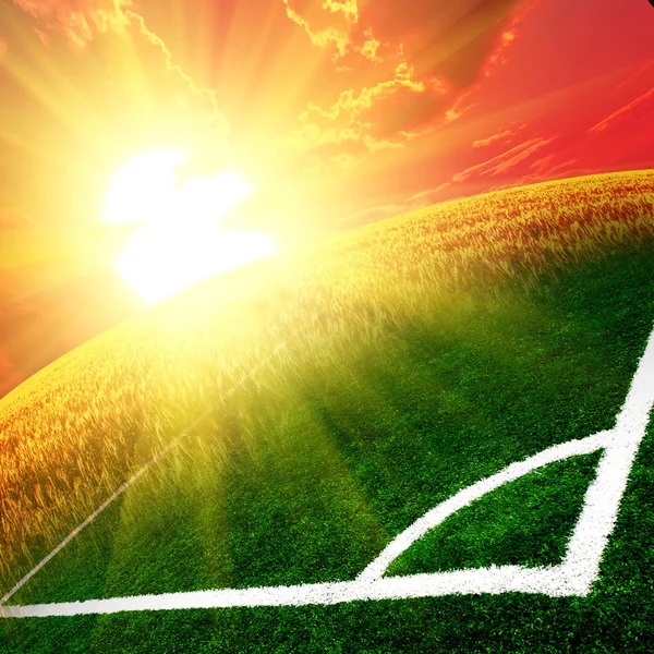 Soccer green field — Stock Photo, Image