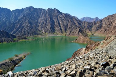 Wadi Ali vaha Birleşik Arap Emirlikleri