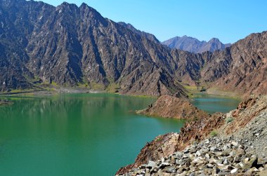 Wadi Ali vaha Birleşik Arap Emirlikleri