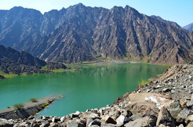 Wadi Ali vaha Birleşik Arap Emirlikleri