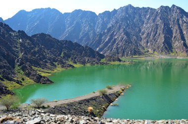 Wadi Ali vaha Birleşik Arap Emirlikleri