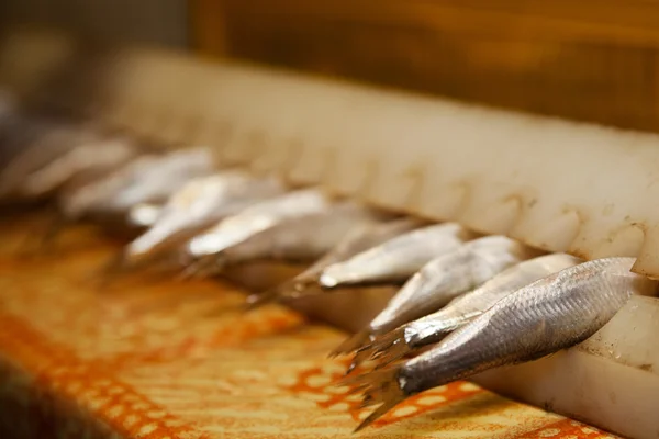 Fresh sprats prepared to be smoked — Stock Photo, Image