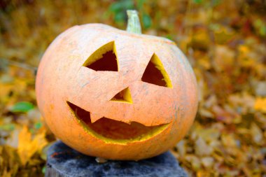 Cadılar Bayramı için oyulmuş kabak