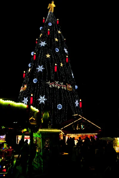 Christmas market in Dortmund, Germany, with fir — Stock Photo, Image