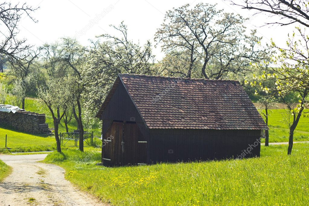 Woodshed with slate roof