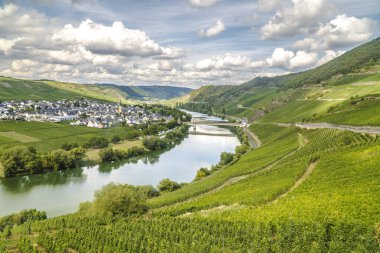 Almanya 'daki Trittenheim manzaralı güzel Moselle Vadisi