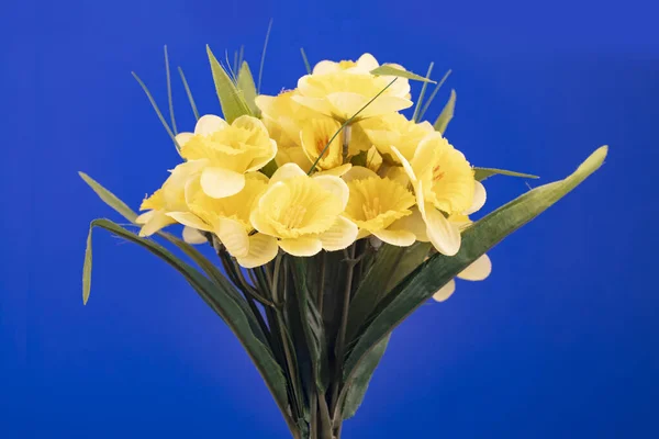 Bouquet Artificial Jonquil Isolated Blue Background — Stock Photo, Image