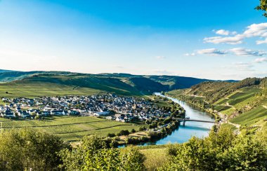 Almanya 'daki Trittenheim Moselle vadisine bakan mavi saat