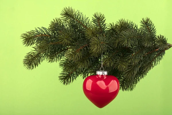 红红的圣诞装饰心挂在枞树枝上 — 图库照片