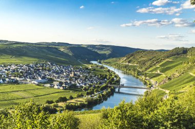 Almanya 'daki Trittenheim manzaralı güzel Moselle Vadisi