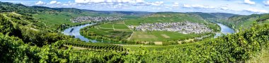 Almanya 'daki Trittenheim manzaralı güzel panoramik Moselle Vadisi