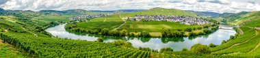 Panorma from beautiful moselle valley with view to Trittenheim in Germany clipart