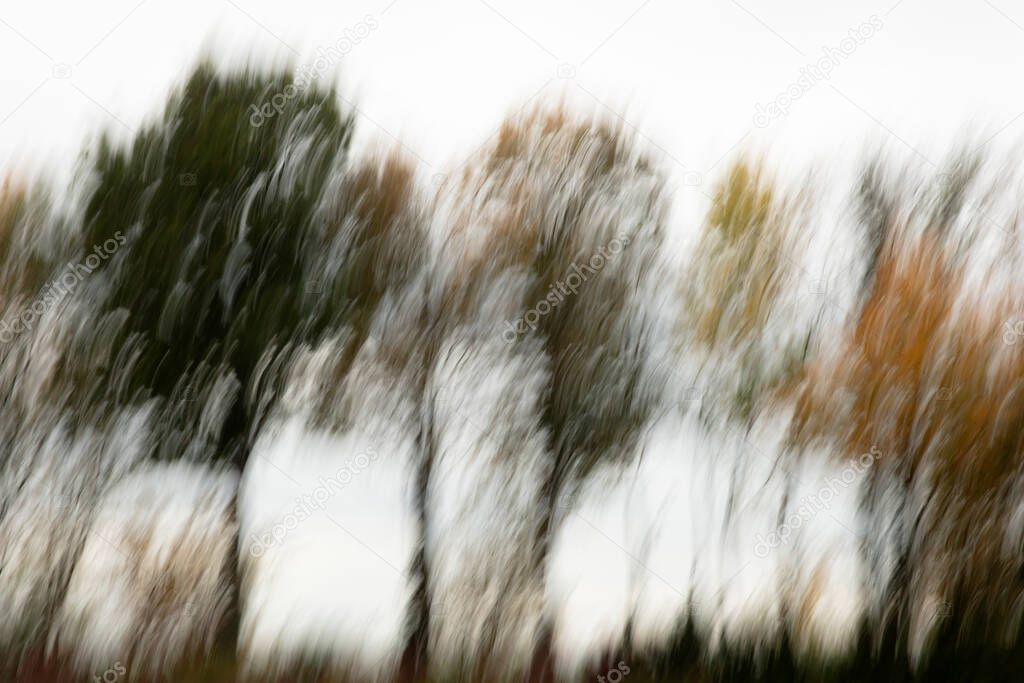 Motion blurred foliage and trees in autumn