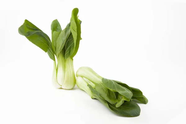 Mladé Čerstvé Pak Choi Zelenina Nad Bílým Pozadím — Stock fotografie