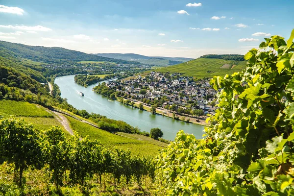 Vista Hermosa Berna Kastel Kues Río Mosela Alemania — Foto de Stock