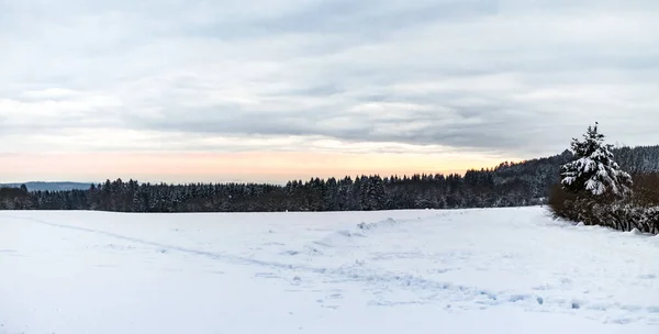 ドイツ ヘッセの冬に雪の多い美しいパノラマ風景 — ストック写真