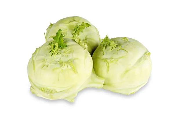 Tumip cabbage — Stock Photo, Image