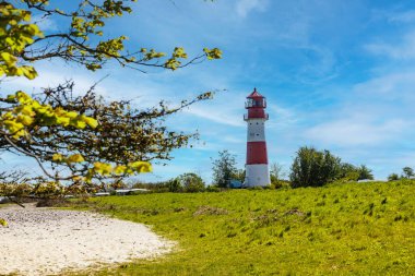 Kırmızı ve beyaz deniz feneri, güneşli bir günde, ağaçlar ve bitki örtüsüyle çevrili mavi gökyüzünün altında yeşil çimenli bir tepenin üzerinde duruyor.