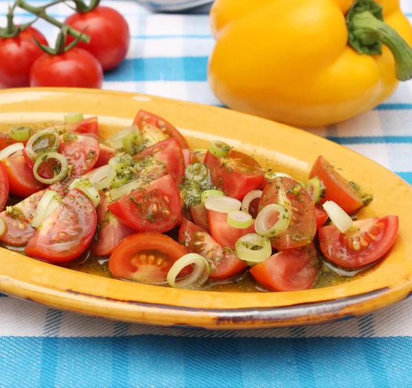 Salade Van Tomaten Uien — Stockfoto