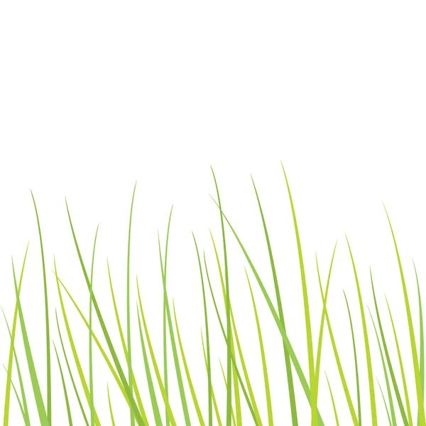草-副本空间与自然背景 — 图库矢量图片