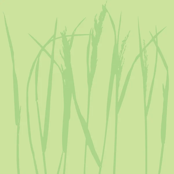 Herbe - Modèle naturel — Image vectorielle