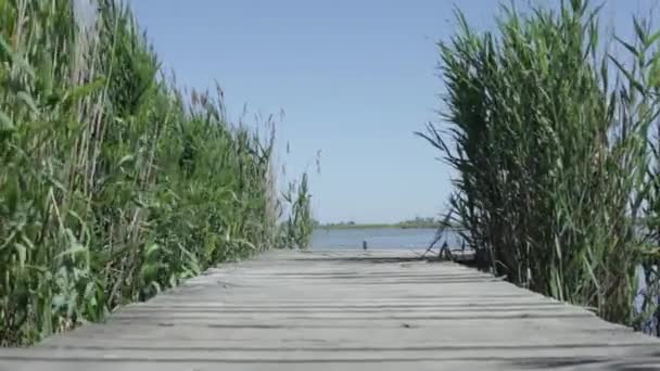 Movimento Deslizante Horizontal Cais Madeira Vazio — Vídeo de Stock