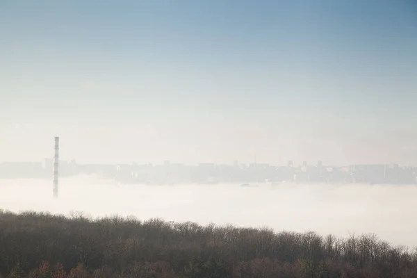 青い空に対する植物の排気管と霧 — ストック写真