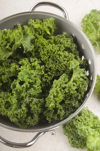 Curly kale in a colander — Stock Photo, Image