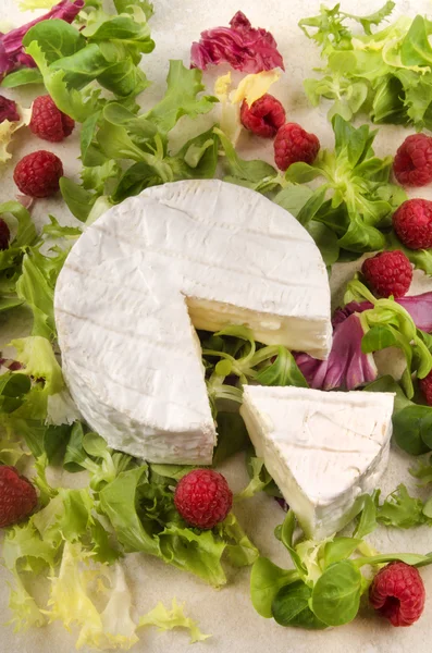 Camembert à la framboise et salade — Photo