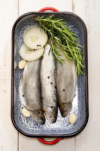 Fresh trout in a roasting tin — Stock Photo, Image