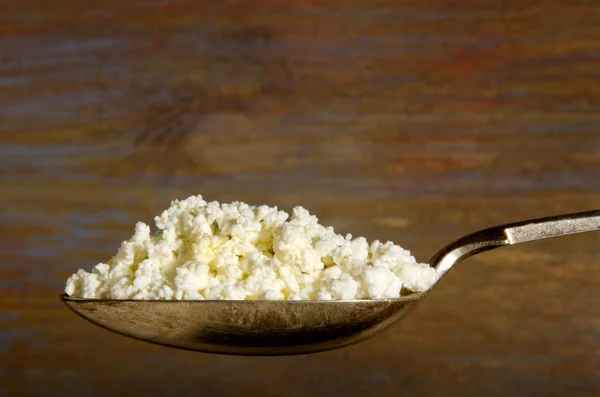 Home made cottage cheese on a spoon — Stock Photo, Image