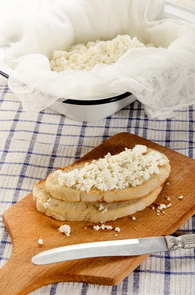 Queijo cottage caseiro em pão torrado — Fotografia de Stock