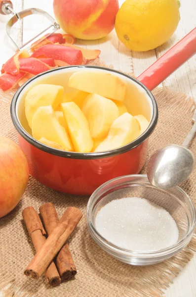 Home made christmas applesauce with cinnamon sticks — Stock Photo, Image