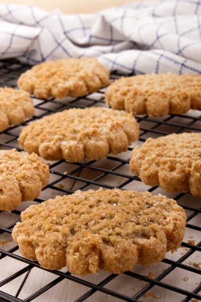 Typically scottish oatmeal biscuit on a cooling rack — Stock Photo, Image