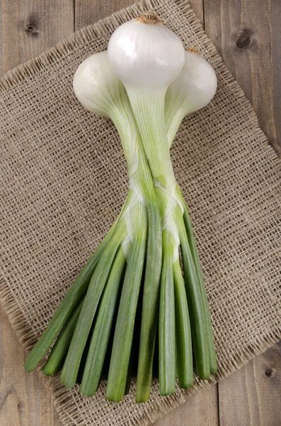 Jumbo spring onions on brown jute — Stock Photo, Image
