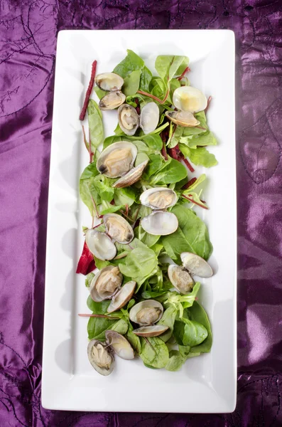 Steamed clams with salad on a plate — Stock Photo, Image