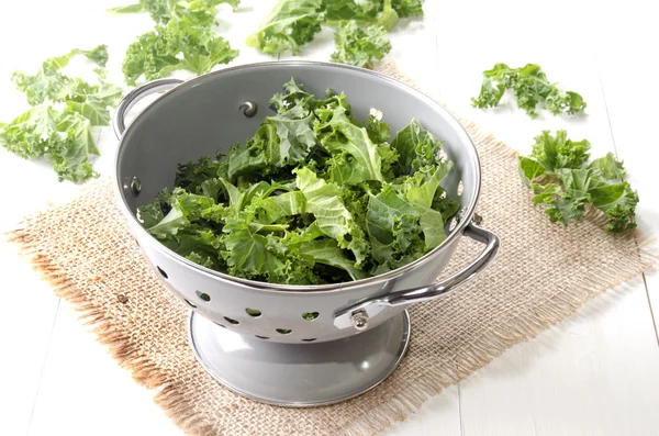 Fresh curly kale in a colander — Stock Photo, Image