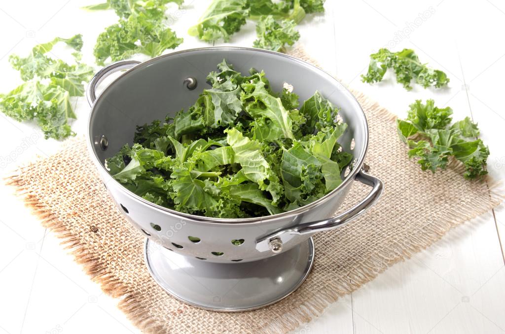 fresh curly kale in a colander