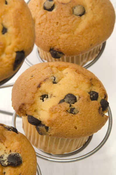 Muffin con gocce di cioccolato su un supporto di torta in metallo — Foto Stock